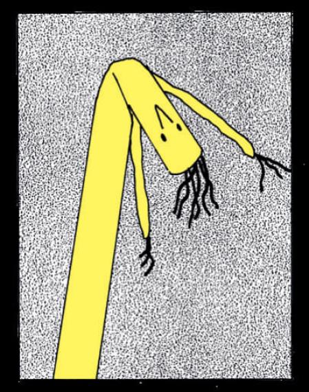 Anna Haifisch, 2023