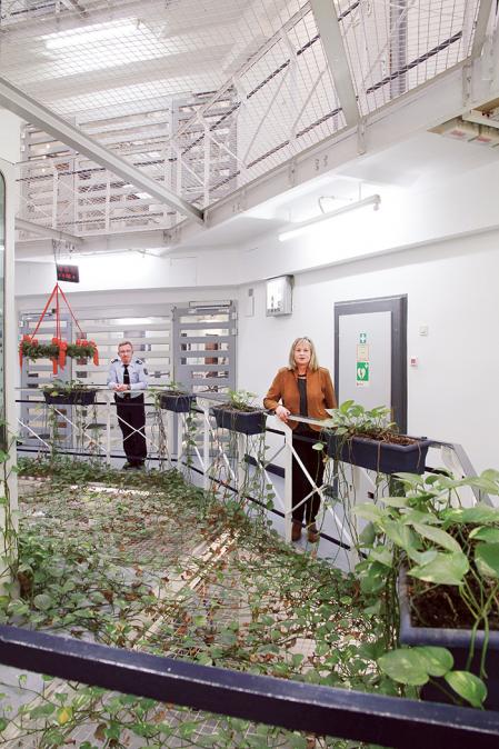 Folkwang un die Stadt – Ausnahmezustand