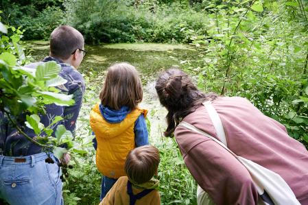 Beobachtung von Fröschen im Teich © Florian Wagner