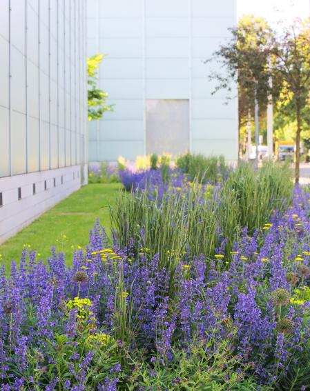 Wiese vor dem Museum Folkwang, Foto: Museum Folkwang, Jens Nober, 2023