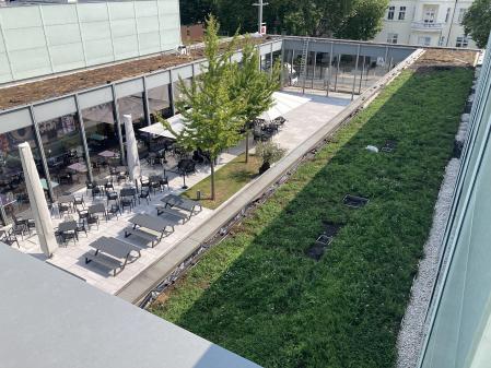 Biodiversität, Dachbegrünung Museum Folkwang, Foto: Museum Folkwang, Jens Nober