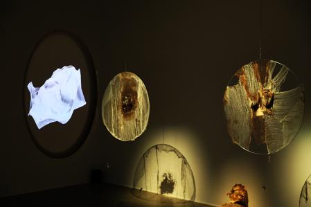 Blick in die Ausstellung Petja Ivanova – Soma of the Land
