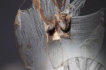 Exhibition view Petja Ivanova – Soma of the Land
