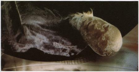 Rudolf Bonvie, Rhapsodie nucl&eacute;aire 5403, 1987