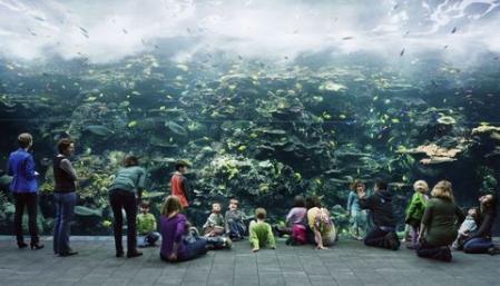 Thomas Struth, Aquarium, Atlanta, Georgia 2013