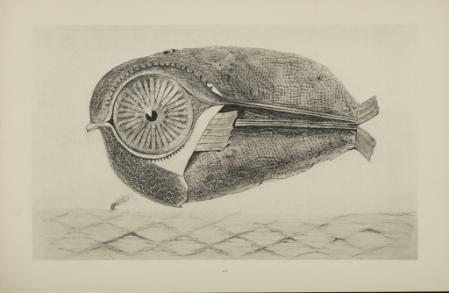 Max Ernst, Histoire Naturelle, 1925