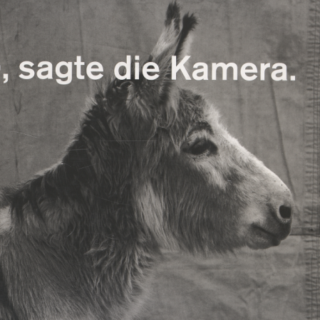 Ferienakademie_Kamera und Pinguin