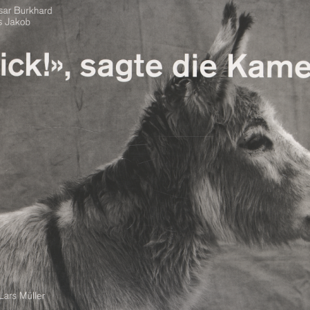 Ferienakademie_Kamera und Pinguin