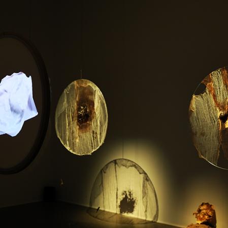 Blick in die Ausstellung Petja Ivanova – Soma of the Land
